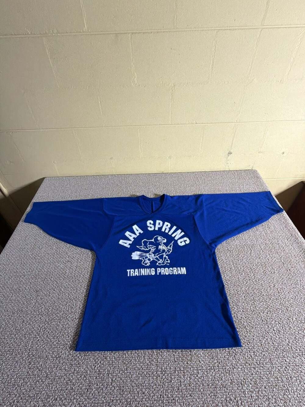 CCM AAA Spring Training Program Hockey Jersey Blue